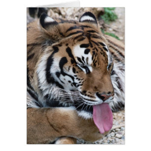 lengua tigre