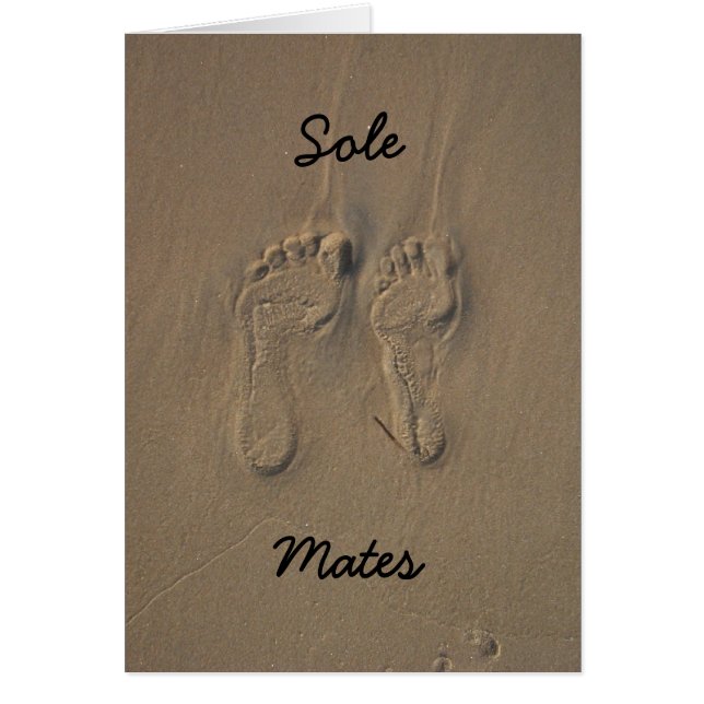 , Lenguado, compañeros (Frente)