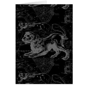 Leo Constellation Hevelius Decor 1690