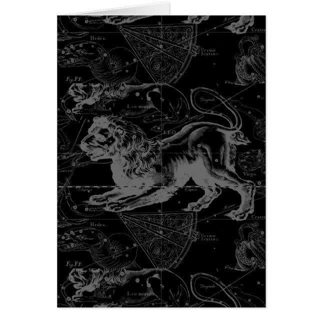 Leo Constellation Hevelius Decor 1690 (Frente)