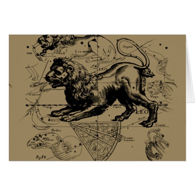 Leo Constellation Map Hevelius circa 1690 (Anverso (Horizontal))