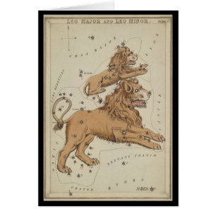 Leo el león