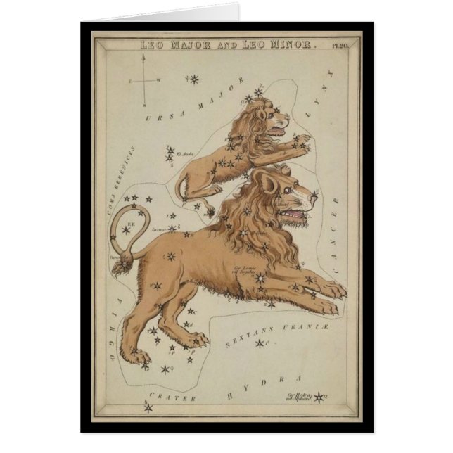 Leo el león (Frente)