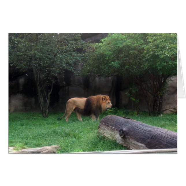 León (Anverso (Horizontal))