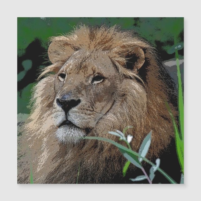 León 20150805 (Anverso)