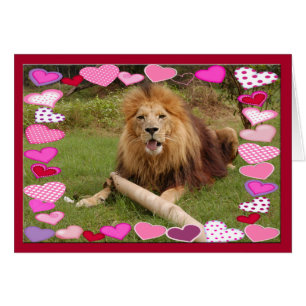 león africano-00030-65x45
