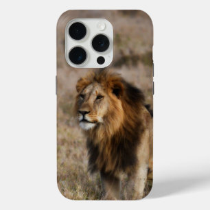 León africano en Funda de iPhone 7 de Grass