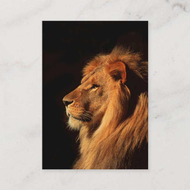 León africano potente - Tarjeta de presentación a  (Anverso)