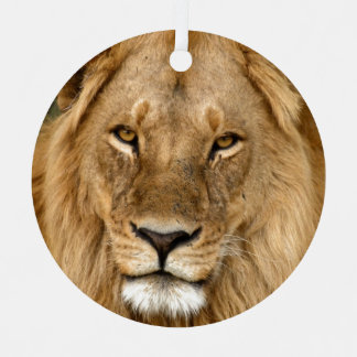 León Con Ornamento De Cerámica De Gran Mano