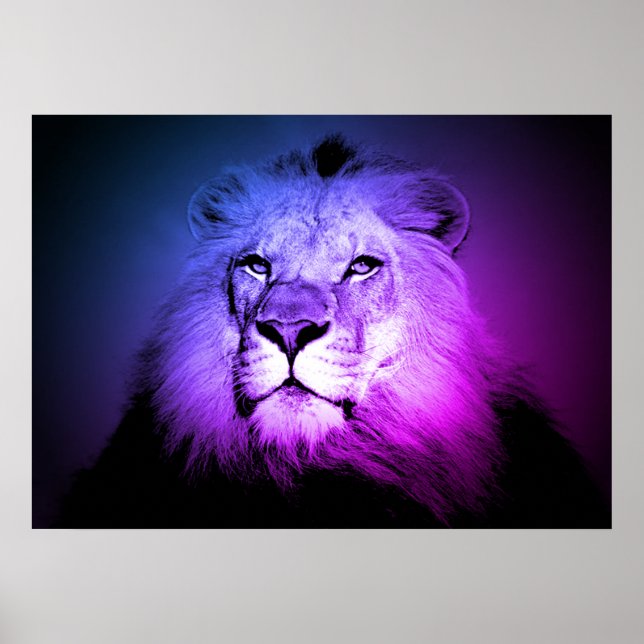 León de arte pop azul - Fotografía de animales sal (Frente)