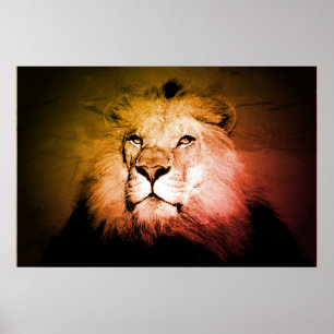 León de arte pop - Fotografía de animales salvajes