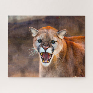 León de la montaña Cougar. Rompecabezas