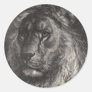 león de los pegatinas del judah