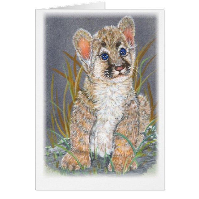 León de montaña del bebé (Frente)