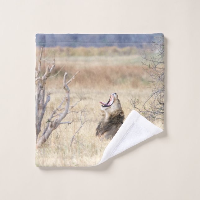 León de Yawning (Toallita)