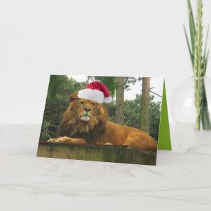 León del navidad que lleva el gorra de Santa
