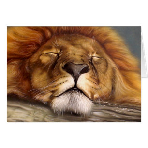 León el dormir