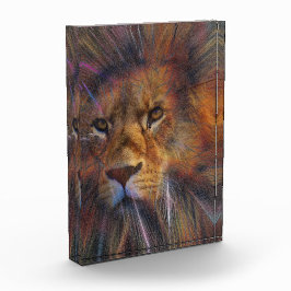 León en el Bloque fotográfico de la Galería