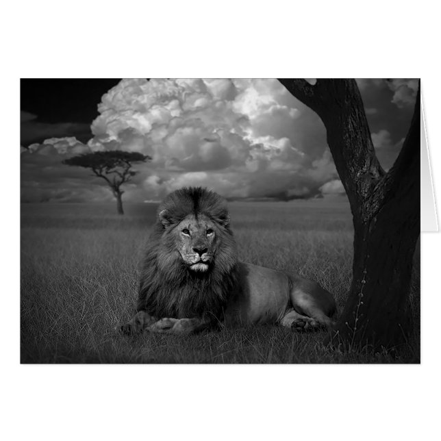 León en la hierba (Anverso (Horizontal))