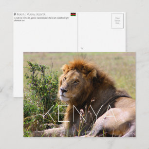 León en Masai Mara, Kenia Tarjeta Postal de Viaje