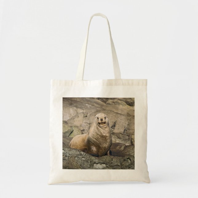 León marino - Bolsa (Frente)