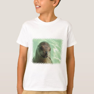 León marino con la camiseta del niño de los
