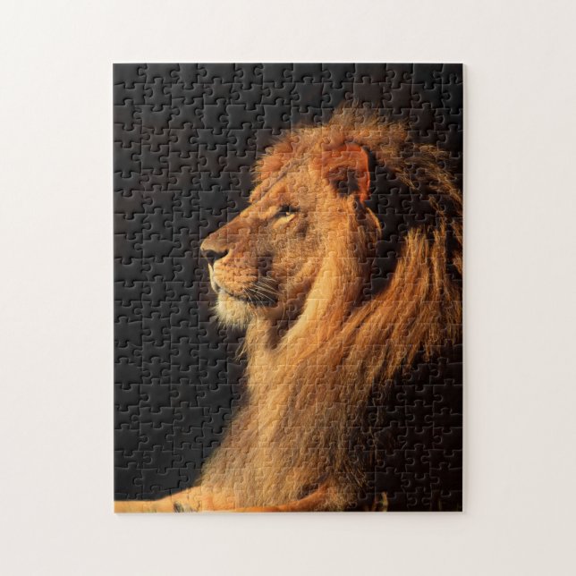 León masculino africano; Rompecabezas de la fauna (Vertical)