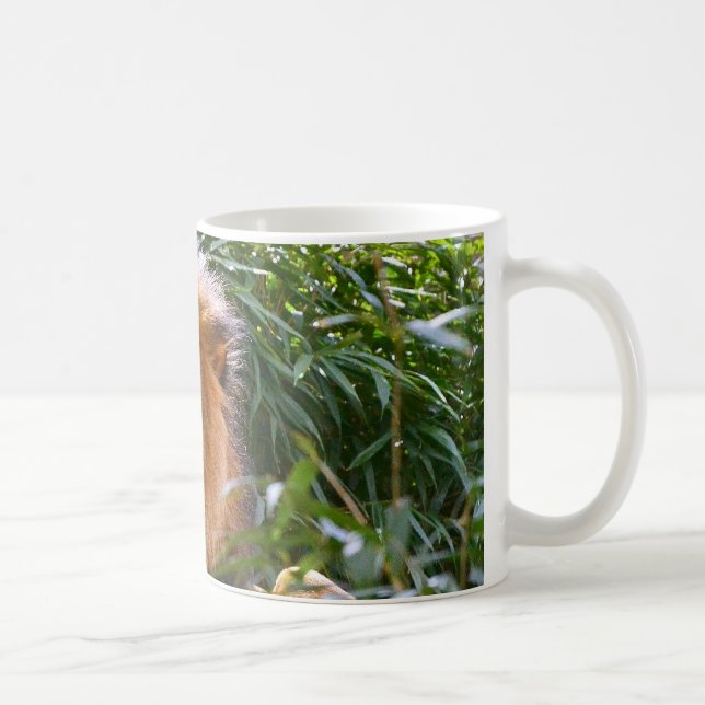 León masculino, rey de la taza de café de las (Derecha)