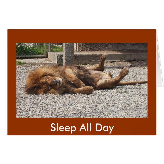 León perezoso (Anverso (Horizontal))