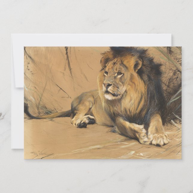 León que descansa | Wilhelm Kuhnert (Anverso)