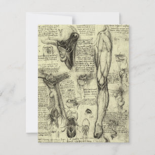 Leonardo da Vinci Anatomía Humana Vintage Larynx L