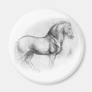 Leonardo DaVinci imán de caballos
