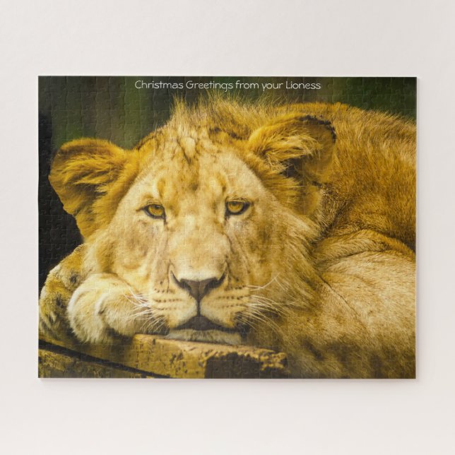 Leonas Grandes Felinos. Rompecabezas (Horizontal)