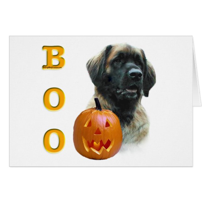 Leonberger Boo (Anverso (Horizontal))