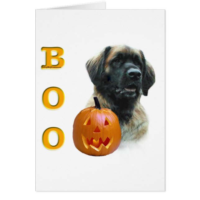 Leonberger Boo (Frente)