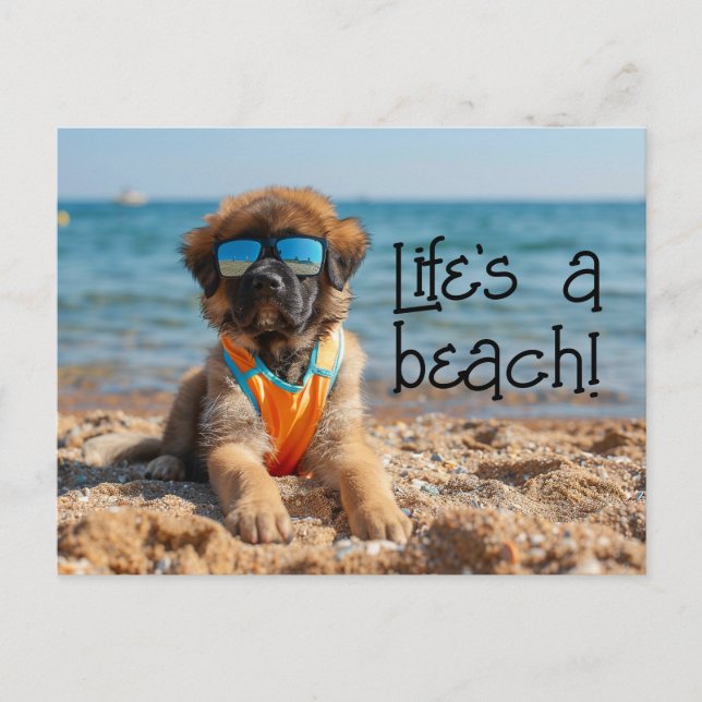 Leonberger Puppy usando gafas de sol postal (Anverso)