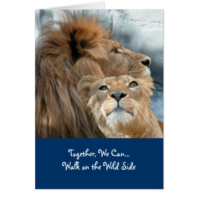 Leones (Frente)