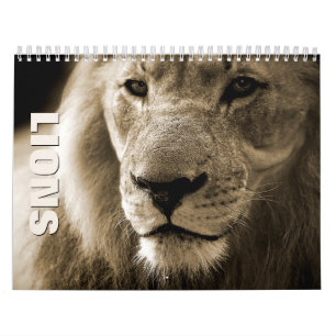 Leones [1] Calendario de pared