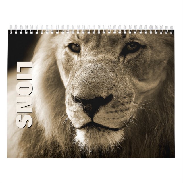 Leones [1] Calendario de pared (Tapa)