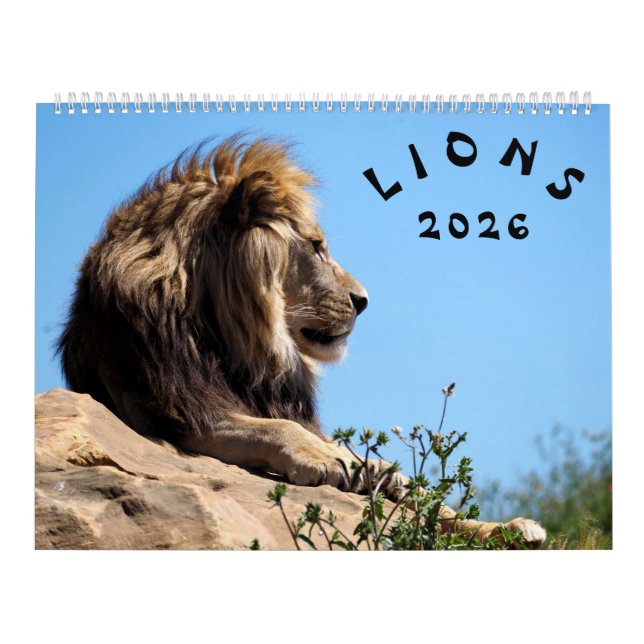 Leones del calendario (Tapa)