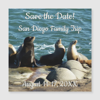 Leones del mar de San Diego
