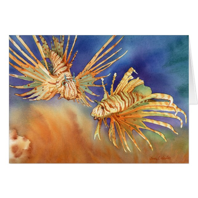 Leones del océano (Anverso (Horizontal))