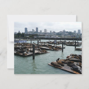 Leones marinos del Pier 39 y horizonte urbano de S