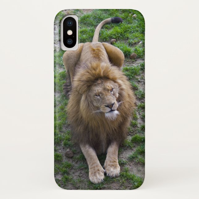 Leonine iPhone X Funda (Reverso)