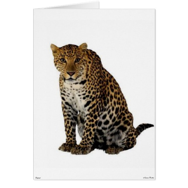 Leopard Card (Frente)
