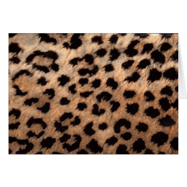 Leopard Cheetah Animal Print Girly Modern Trendy (Anverso (Horizontal))