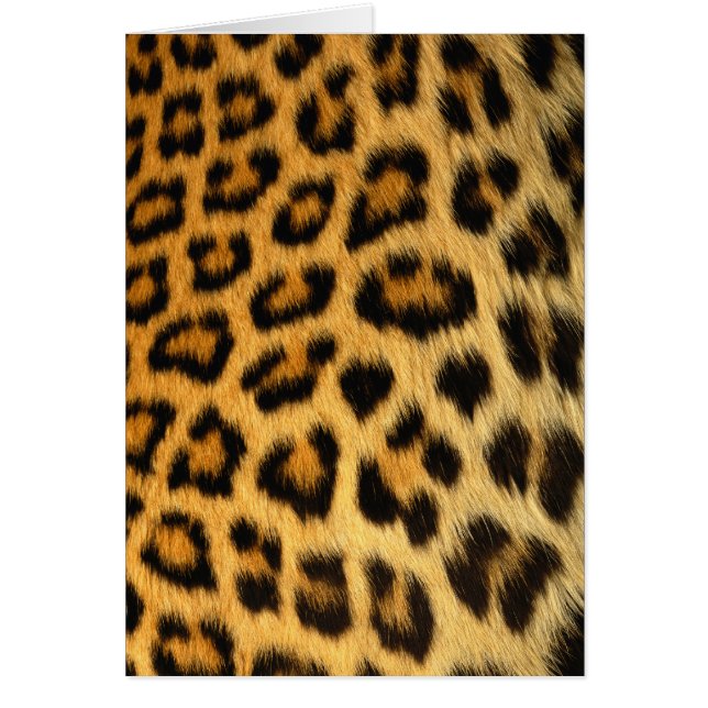 Leopard Fur Wildlife Cards Series (Frente)
