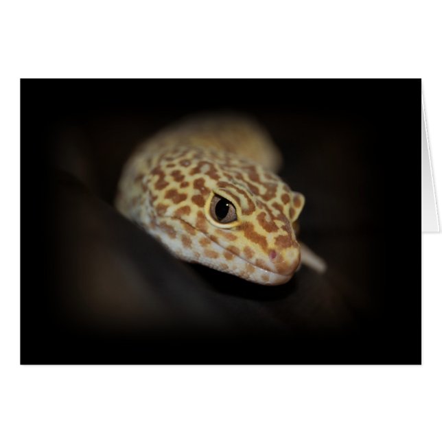 Leopard Gecko Card (Anverso (Horizontal))