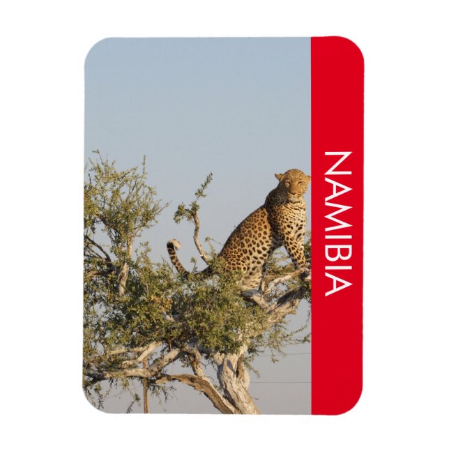 Leopard, imán de Namibia (Vertical)