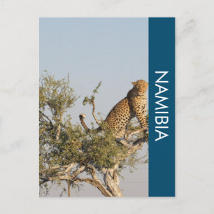 Leopard, postal de Namibia